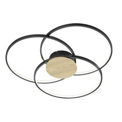 Trio Lighting 004961