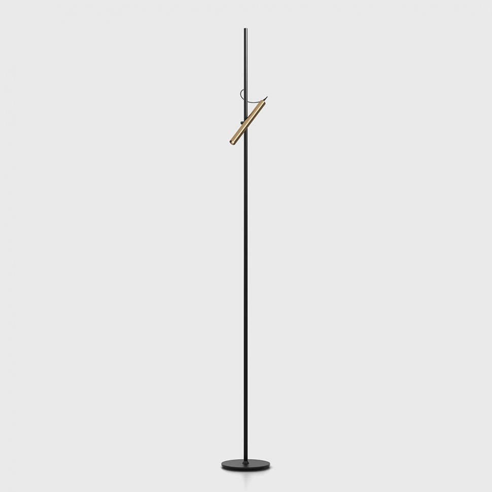 POINTER FLOOR, D200mm, d25mm, H1800mm, LED 6W, 3000K, black / light gold ...