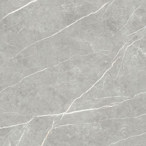 LITTLETON GREY POLISHED 60x60