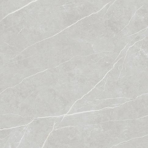 LITTLETON SILVER MATTE 60x60